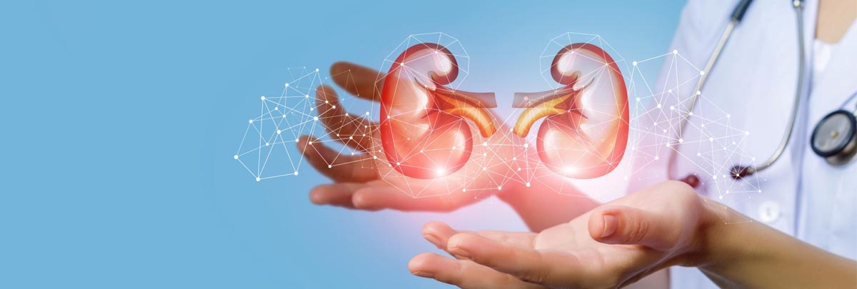 Nephrology Centre / Nephrology Treatment in Jalandhar